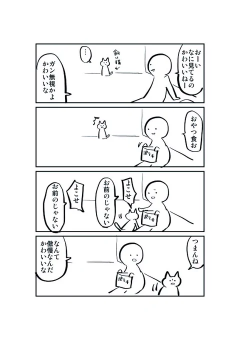 飼い猫との日常 