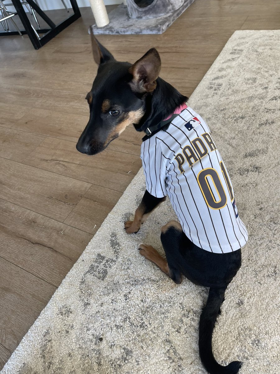 manda_roo7's tweet photo. @Padres #FriarFaithful #TimeToShine #PadresPets 🤎💛 https://t.co/xzmuqcMMoc