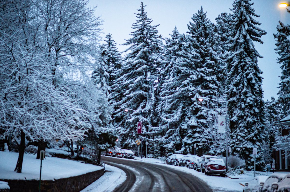 mediabylancelee's tweet photo. Heavy snowfall on College Hill near Washington State University Pullman Campus in early April 2022. https://t.co/F3W9ZVrXre