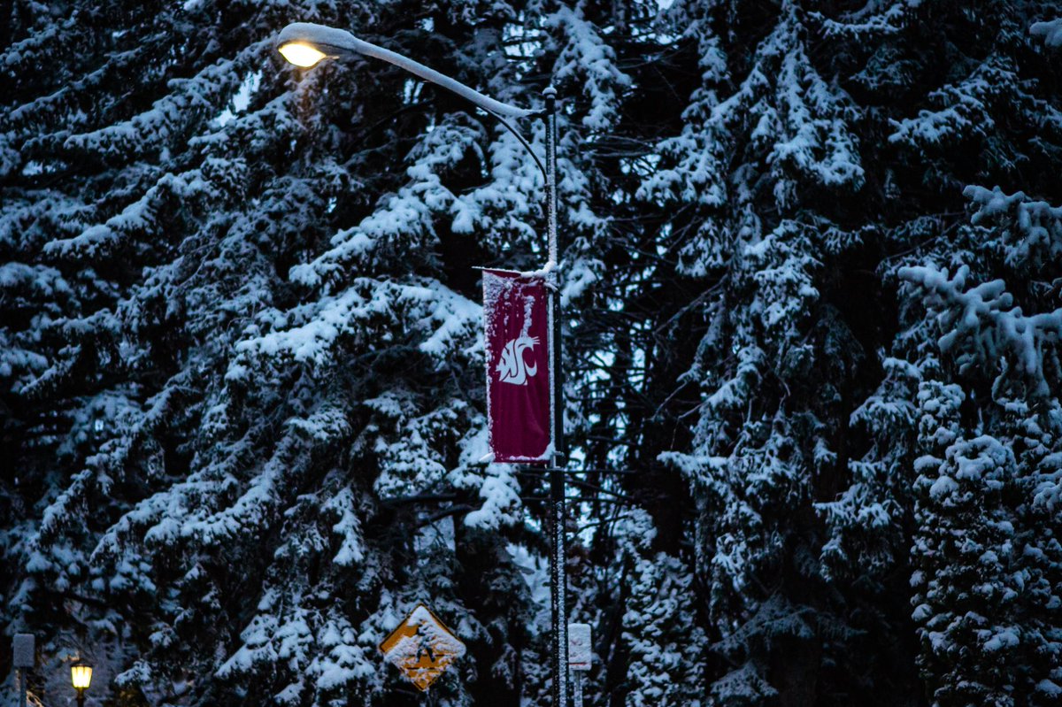 mediabylancelee's tweet photo. Heavy snowfall on College Hill near Washington State University Pullman Campus in early April 2022. https://t.co/F3W9ZVrXre