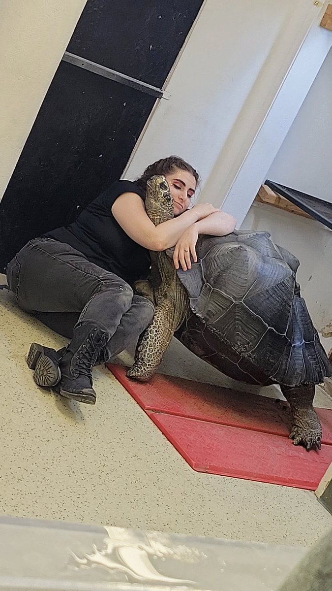 ShellyOneida's tweet photo. This photo was taken by my coworker and it shows what I do best https://t.co/HisaudLOB2