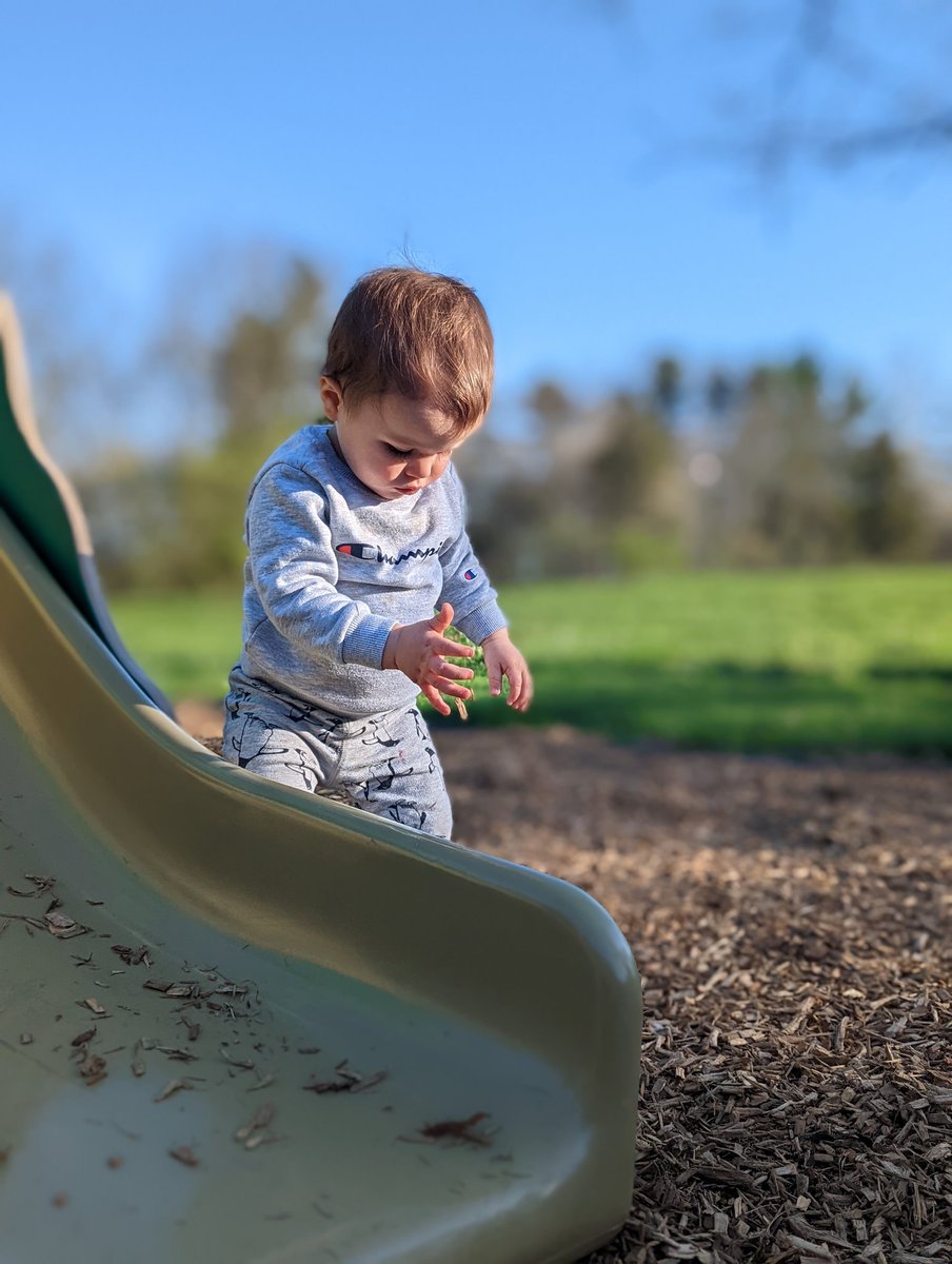 Steve Warhola tweet media