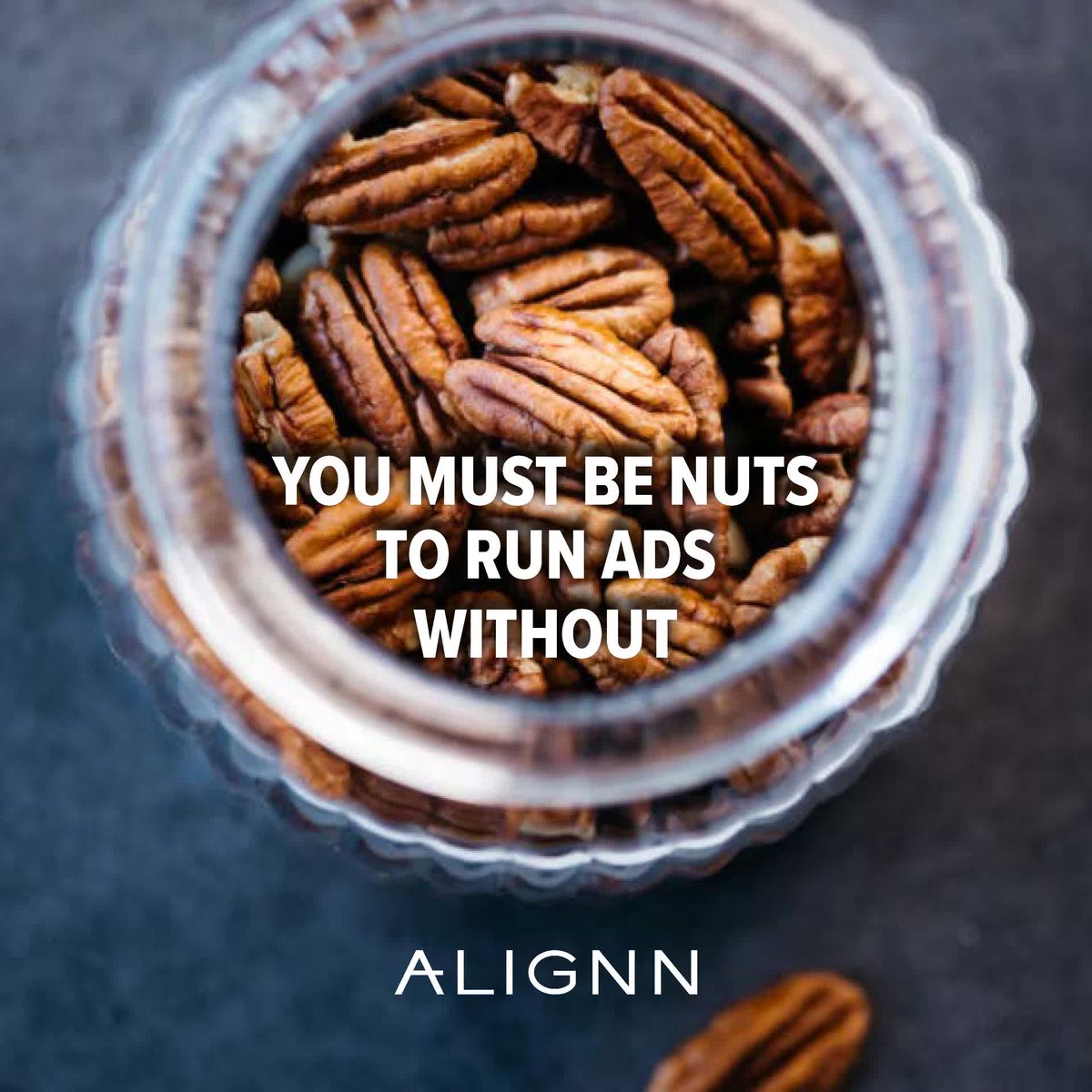 alignnmarketing's tweet photo. QUICK REAL FACTS: 

📈 Some Google Ad Campaigns created by #ALIGNN have an optimization score of above 90%, which is RARE.

📈 We maintain a Click Through Rate (CTR) well above industry-average, getting more conversions for less.

Get a FREE QUOTE by calling 434.420.8965. https://t.co/xO1XrzXJ7Z