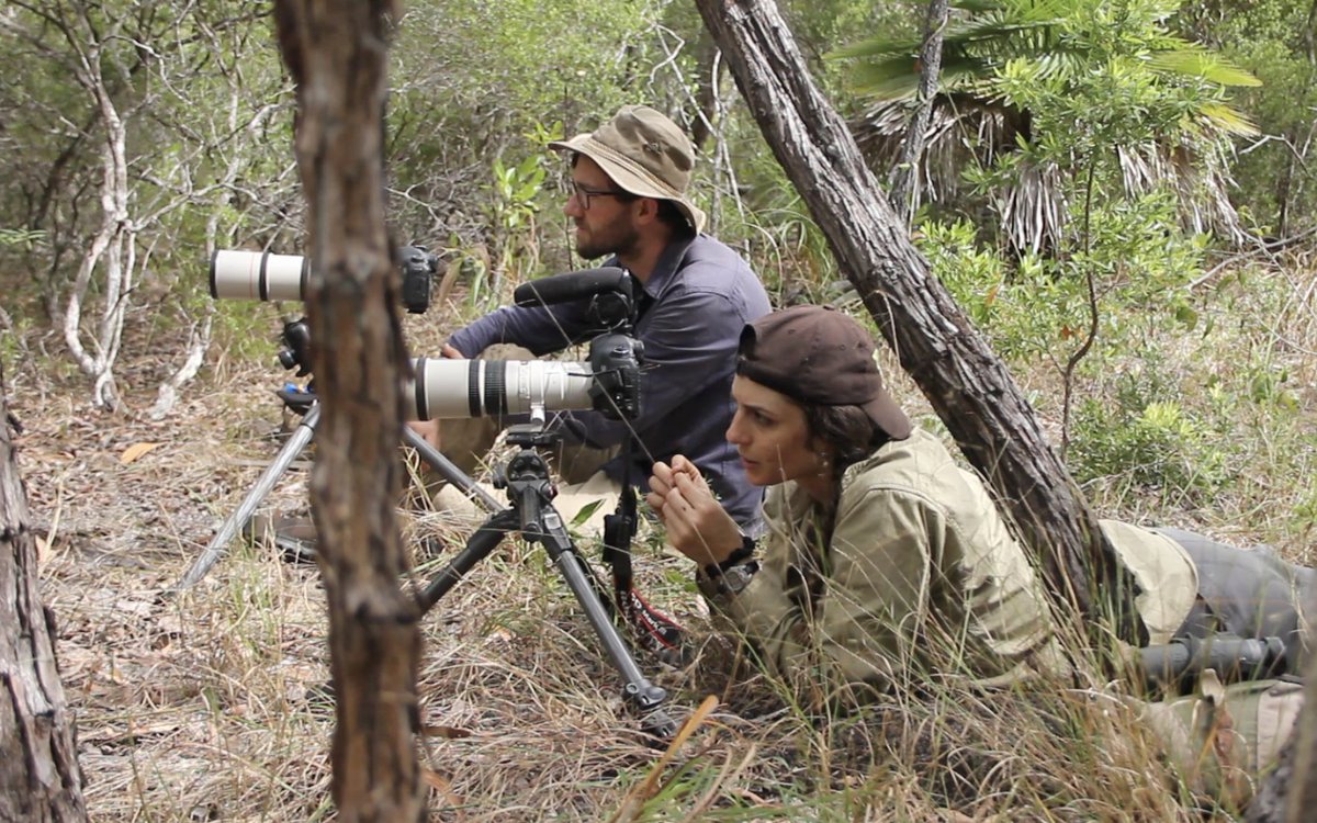 CNZdenek's tweet photo. Throwback to 7 years ago. Here's Tom Hunt (@moth_nut) and I playing the waiting-game part of fieldwork on Cape York together. Fun times! Pic by C. Garai. https://t.co/8dkY63TVCg