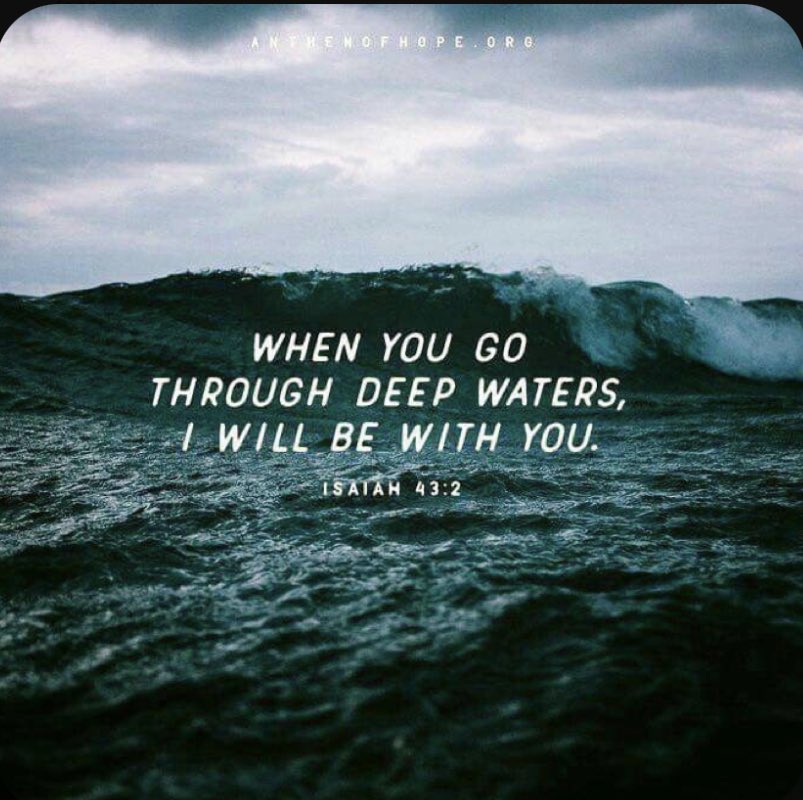 Alissa Gutierrez (@alissarose15) on Twitter photo 