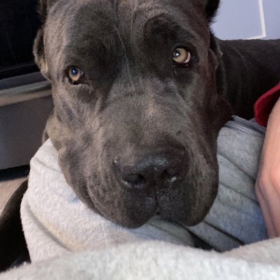 CatulliMatteo's tweet photo. #NewProfilePic https://t.co/a0btalkPxU