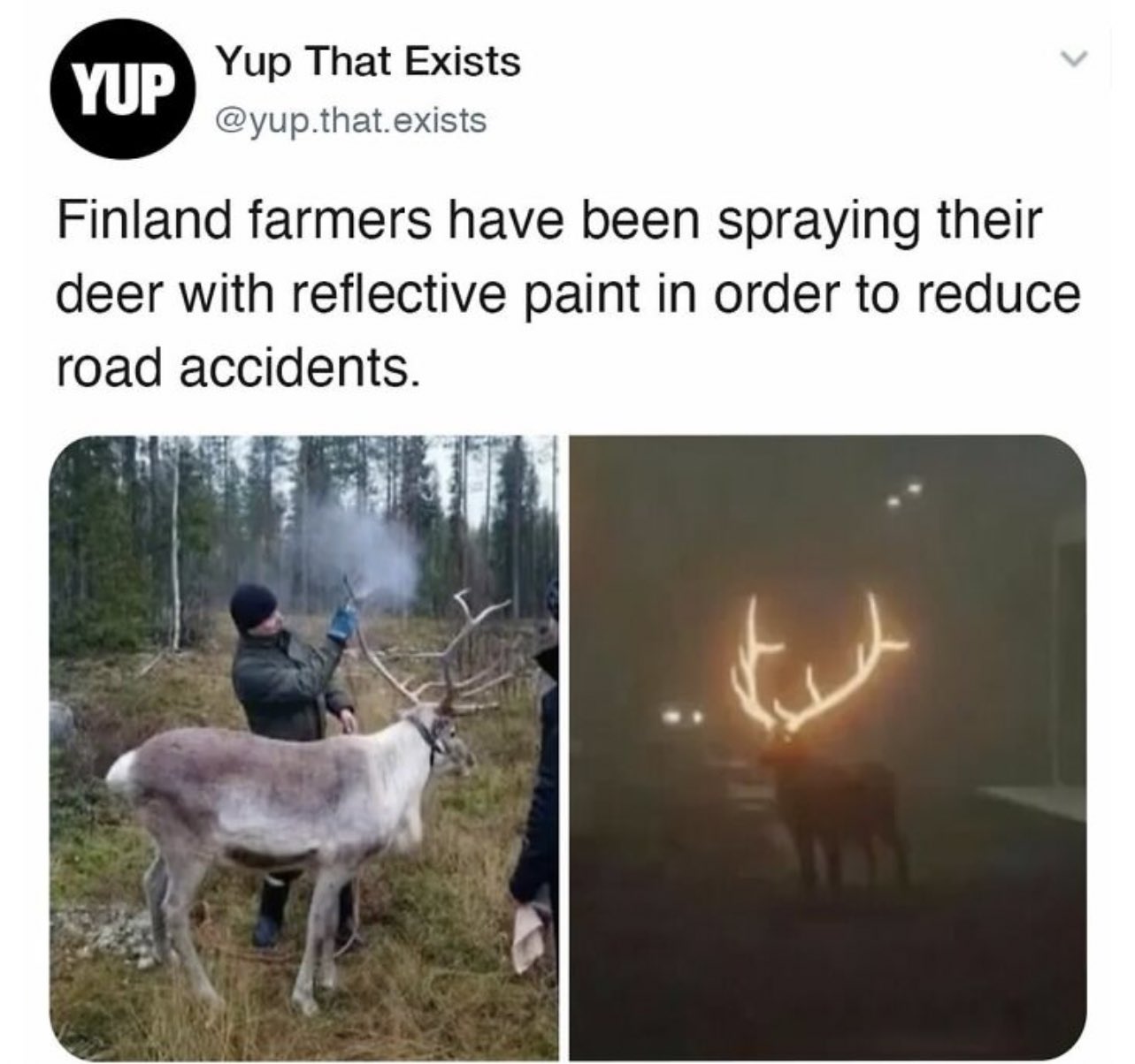 FQbnkrTWQAIsyrP?format=jpg&name=large