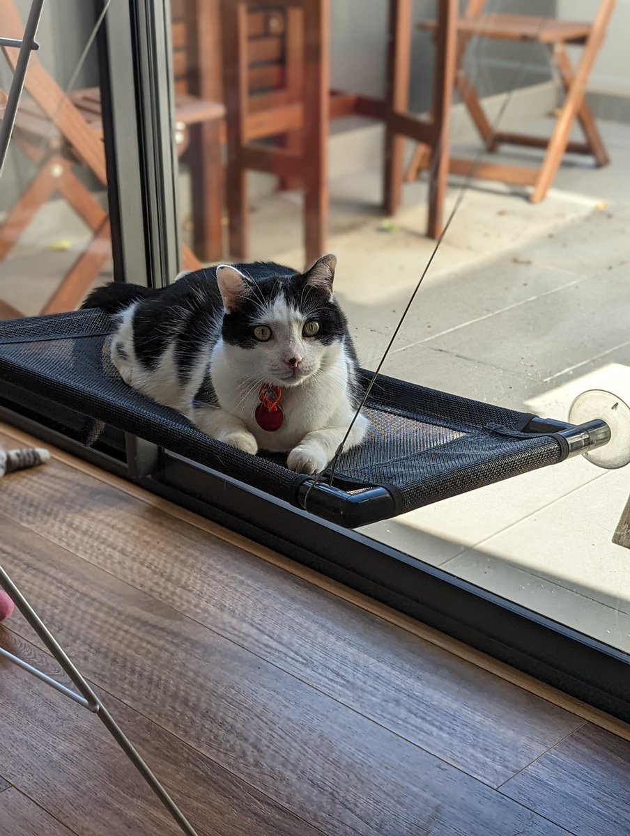 Ⓥ Soy Boy ☭🇵🇸 tweet media