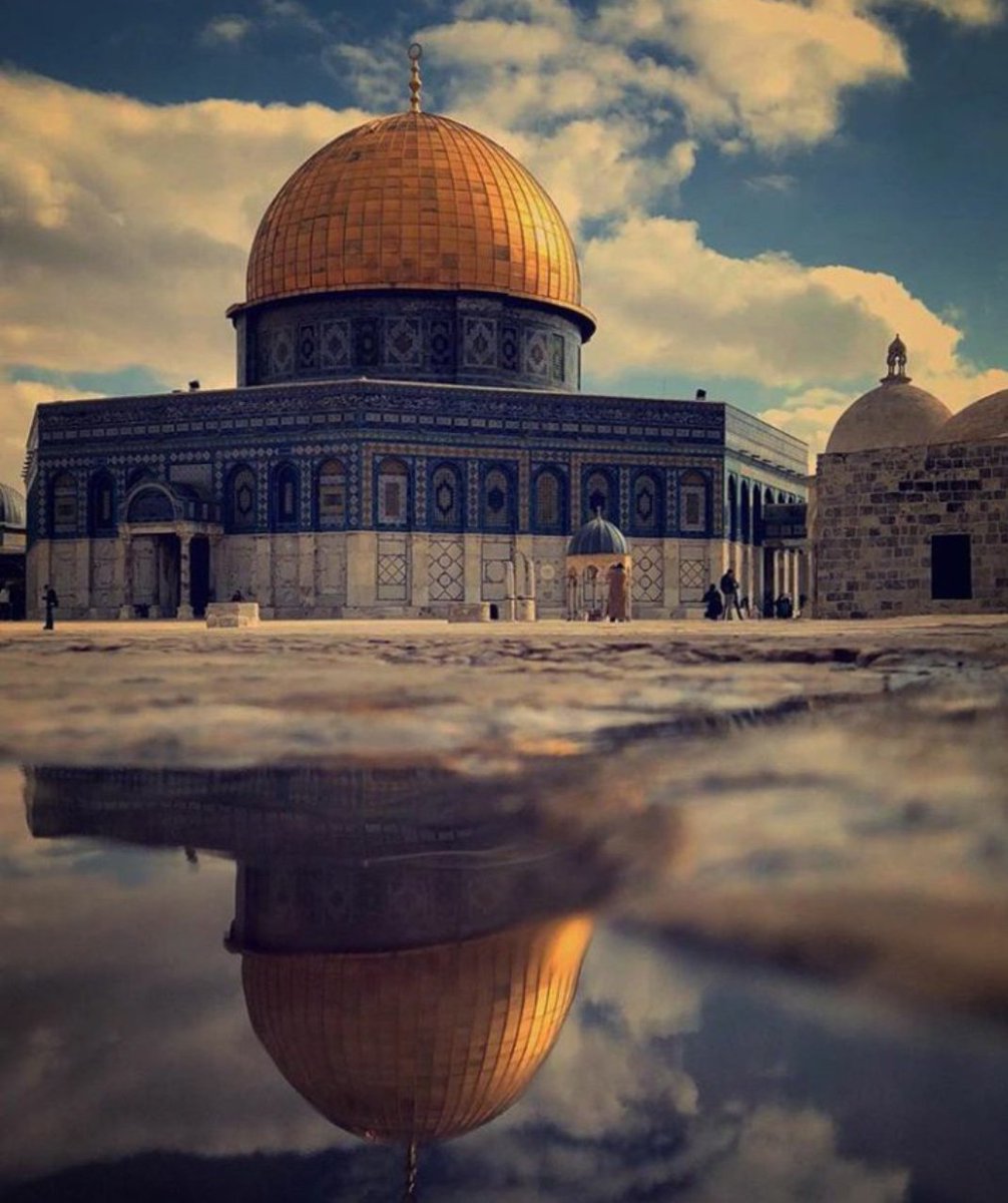 Bir gün gelecek,
Takvim yapraklarının tarihte bugün' bölümünde, "İsrail'in yok oluşu" diye bir not göreceksiniz! #kahrolsunisrail #freekudüs #FreePalestine #kudusozgurolanadek #IsraeliTerrorism #KuduesİSLAMINDIR #IsraeliOccupAttackAlAqsaMosque