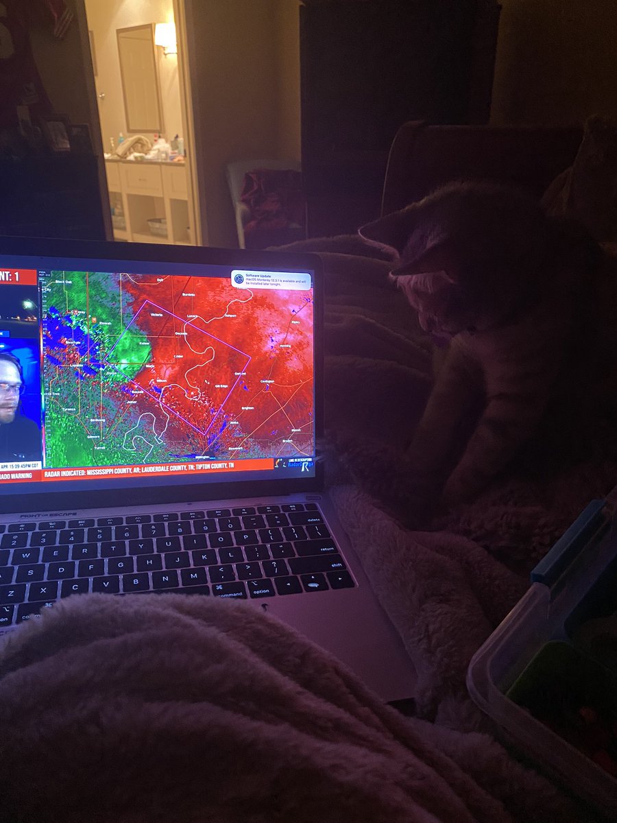flexfelixegg's tweet photo. @ryanhallyall my baby just had surgery today but still has enough energy to watch ☺️ https://t.co/YGecWhPQHy