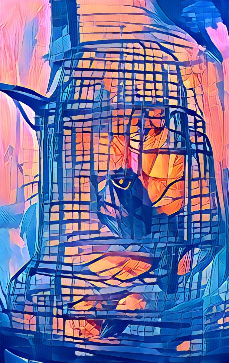 Cryptototle tweet media