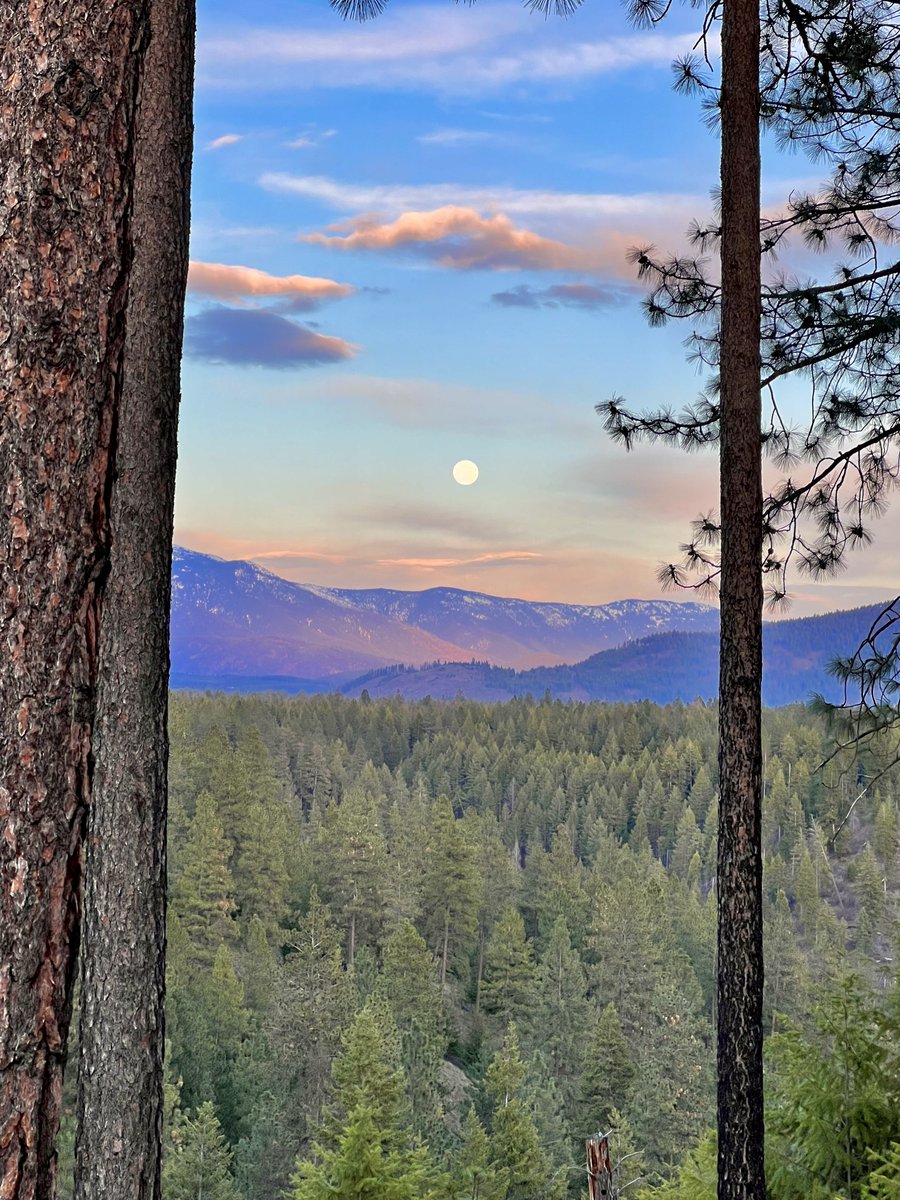 16pxl's tweet photo. the moonrise tonight was so beautiful 🥹❤️‍🔥 https://t.co/arrxIedUOA