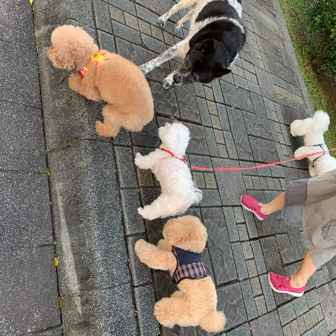hsgwe1's tweet photo. Have a great weekend. Get the dog out of here https://t.co/1q343g9x6T
