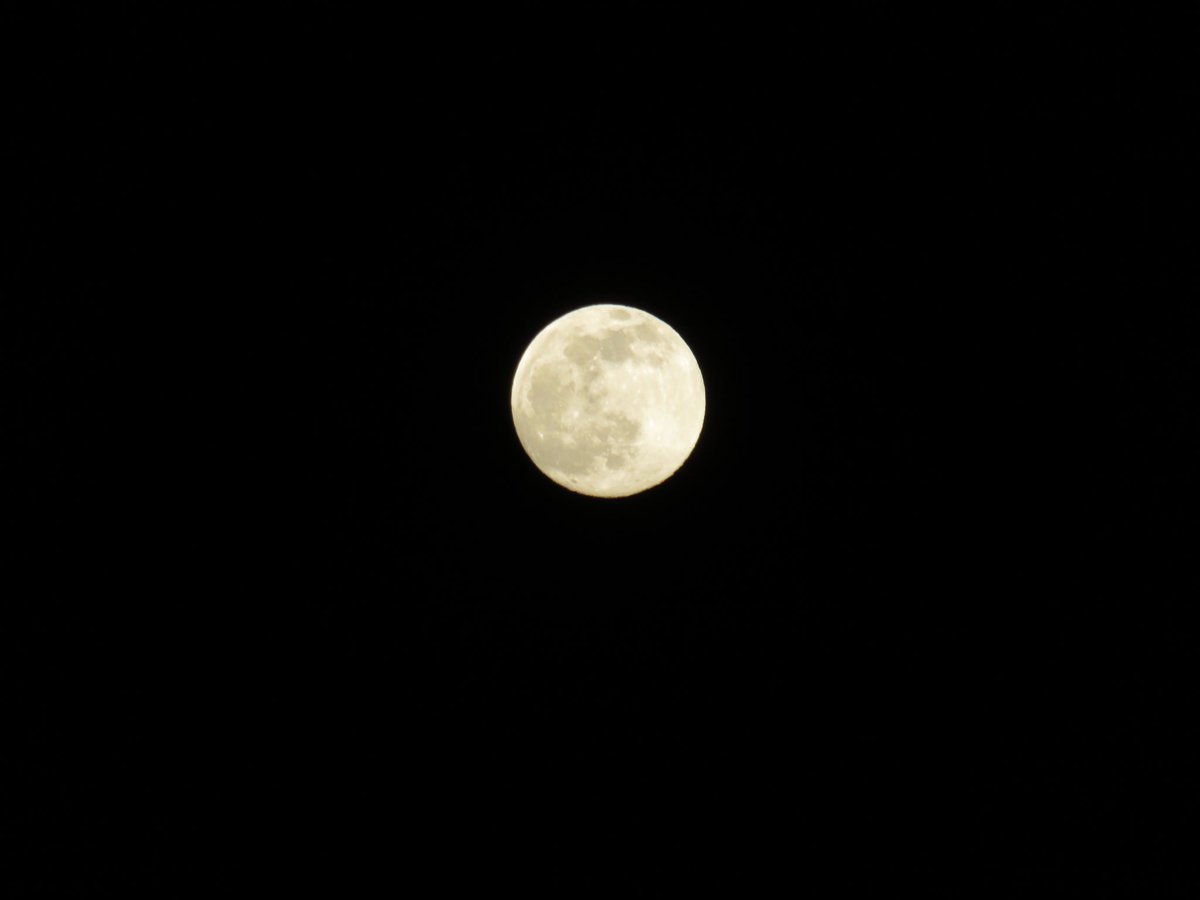 coachpam2's tweet photo. The almost full moon of April🌙! #FullMoon #PinkMoon #EasterMoon https://t.co/cQSVVRc4xC