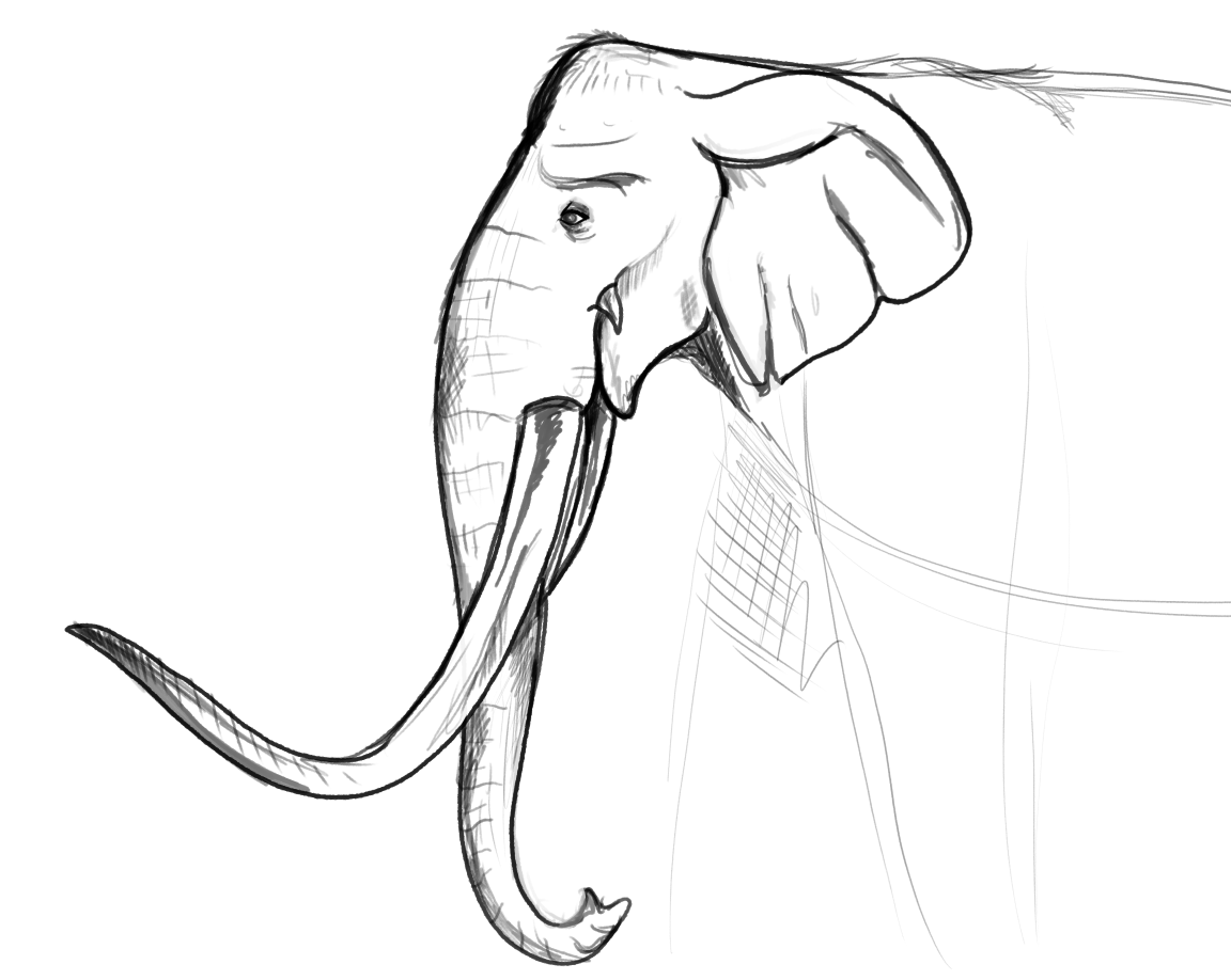 MoArtStudio's tweet image. #wip #conceptart #oliphaunt #lotr #middleearth Another rough sketch for a redesign of the Mumak of Harad as portrayed in the films. This I feel is definitely more like an actual elephant, with some similarities to mammoths and palaeoloxodonts, while still barring the multi tusks
