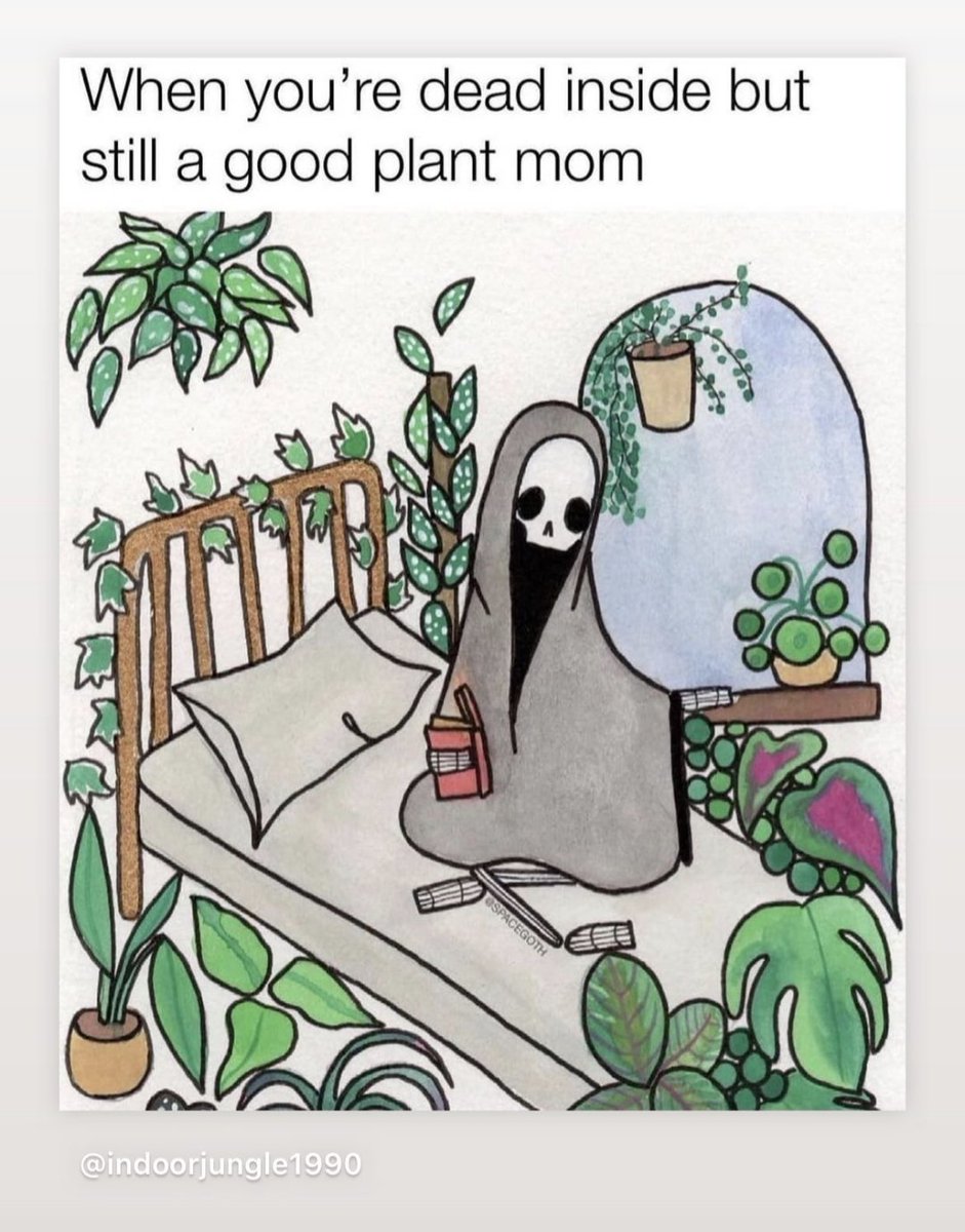 Found this guy on instagram, too good not to share 🤣

🌿🌿🌿

#nft #newnftproject #nftcommunity #plantlover #plant #plantobsessed #planthoarder #plantpun #WOMENINCRYPTO #greenchipnft