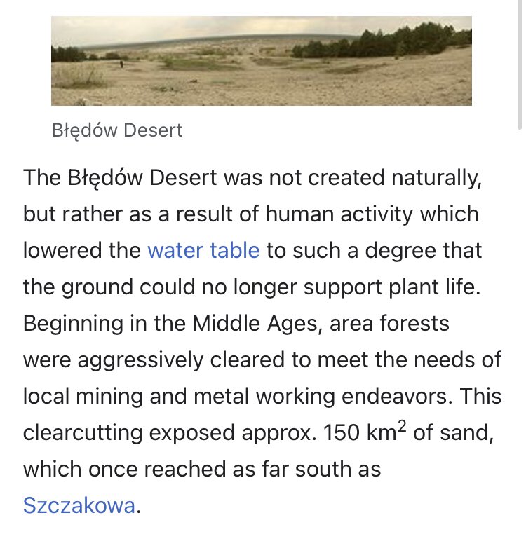 duncan b-梁 🦦🇵🇸 tweet media