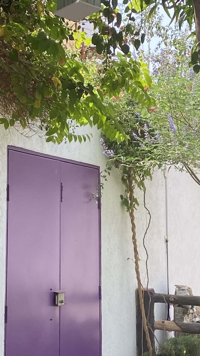 COURT__YARD's tweet photo. #صباح_ربيعي
#أبريل
#رمضان_كريم 

#Gardening
#April
#Spring_Season
#Lazy_Saturday_Morning https://t.co/CkYjj8Kzo4