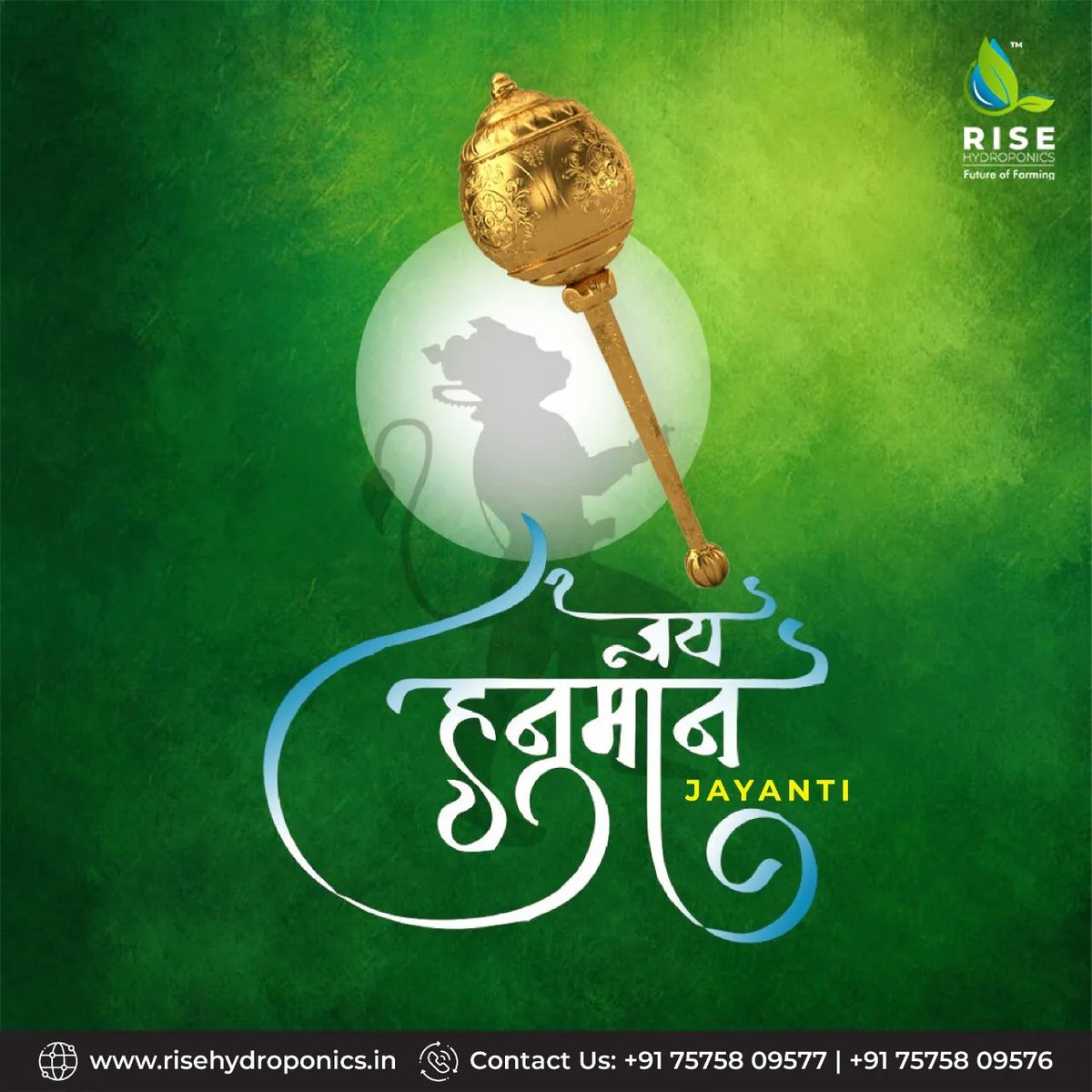 RiseHydroponics's tweet photo. May Lord Hanuman bless you with confidence &amp; strength to achieve success in your life. ✨

#hanumanjayanti #hanumanjanamutshav #hanumanjayanti🙏 #hanumanjayanti2022 #hanumanji #hanumanjayantispecial #lordhanuman https://t.co/jTTBxqSHvM