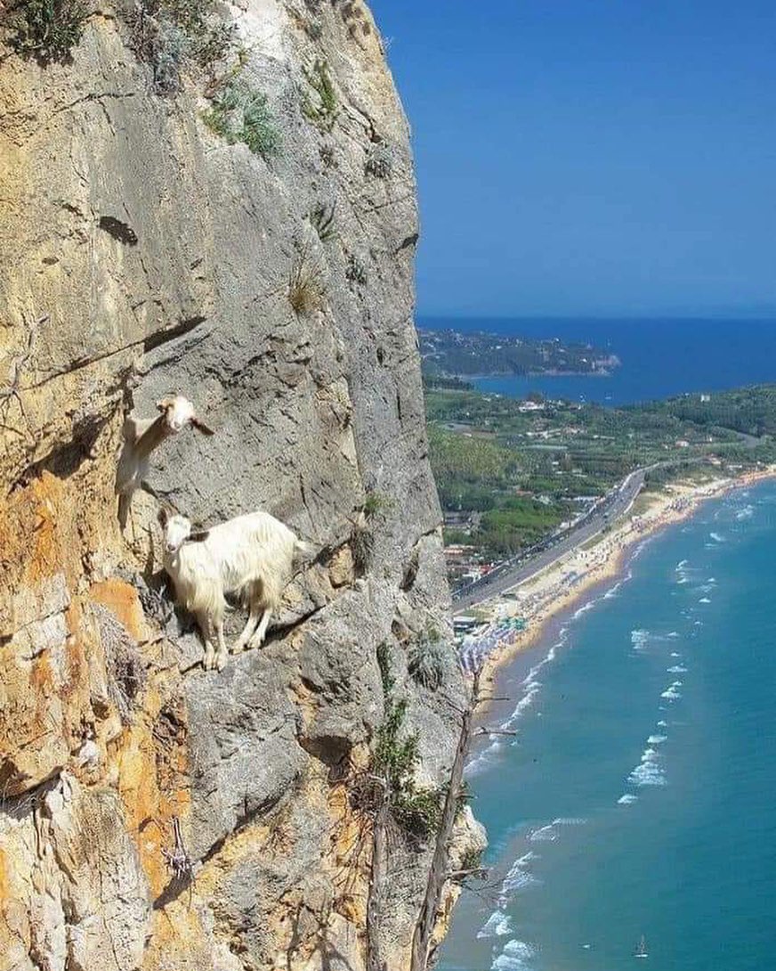 Geri dönülemeyecek bir hedefi zorluyorsanız ;
Bari manzara güzel olsun.