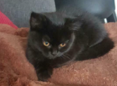 𝘈𝘭𝘮𝘢 𝘏𝘰𝘱𝘮𝘢𝘯 🎼 tweet media