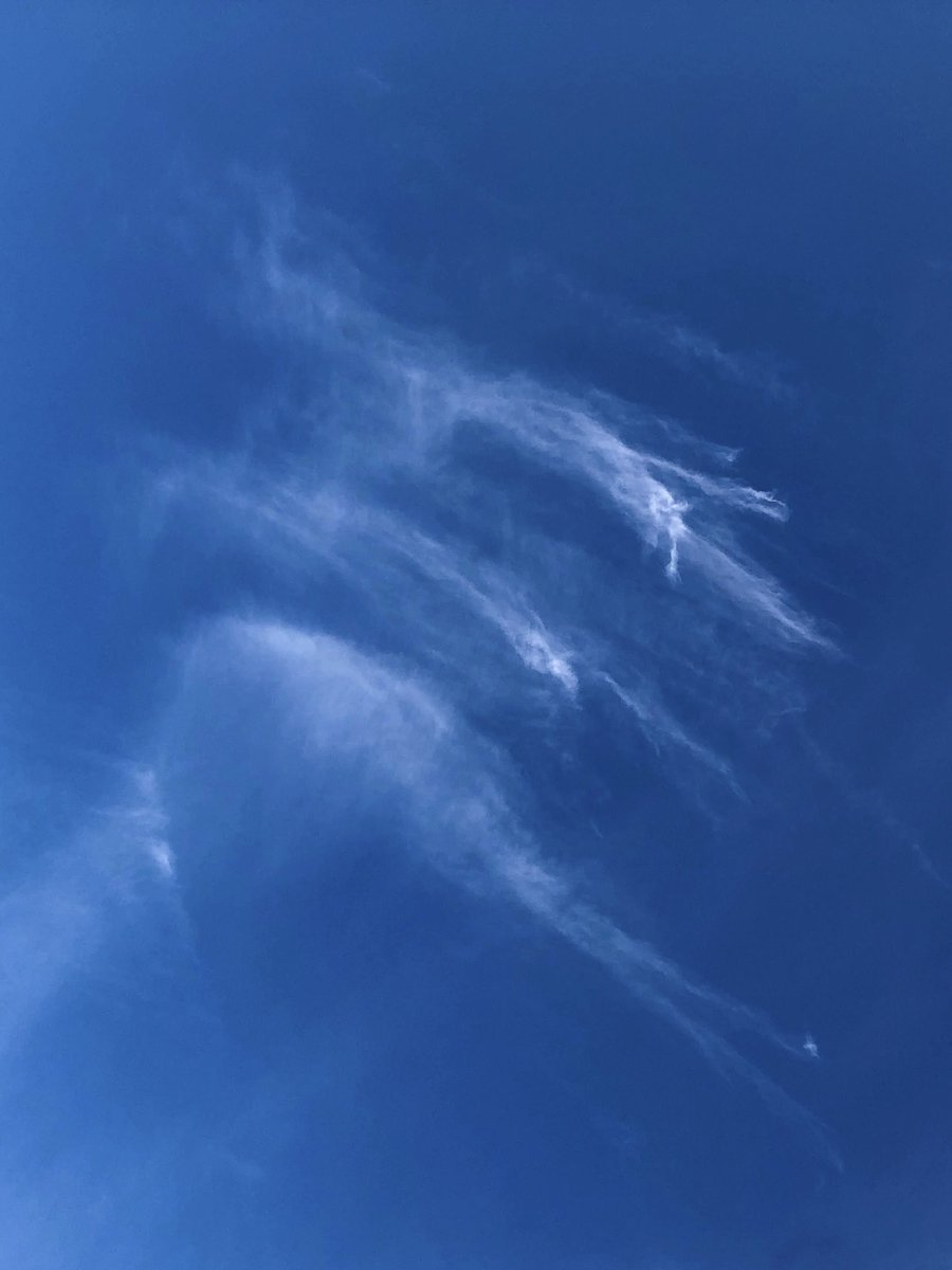 Fairuz Ayuni tweet media