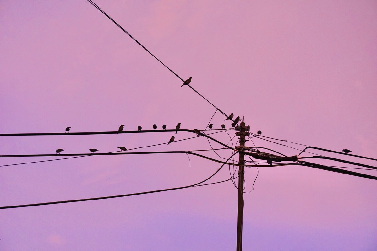 Fairuz Ayuni tweet media