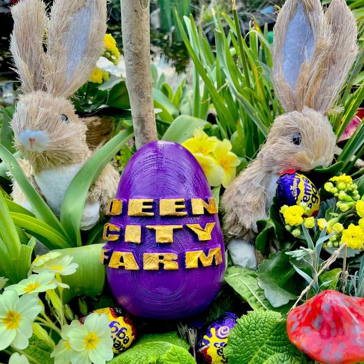 deencityfarm's tweet photo. If you are visiting us between Sat 16 &amp; Mon 18 April, keep an eye out for our special egg hidden around the farm. If you find it, take it to the Farm Shop to claim an Easter prize! 

(Please book your farm visit in advance to avoid disappointment)

#HappyEasterWeekend #thingstodo https://t.co/e0kNcLZFHs