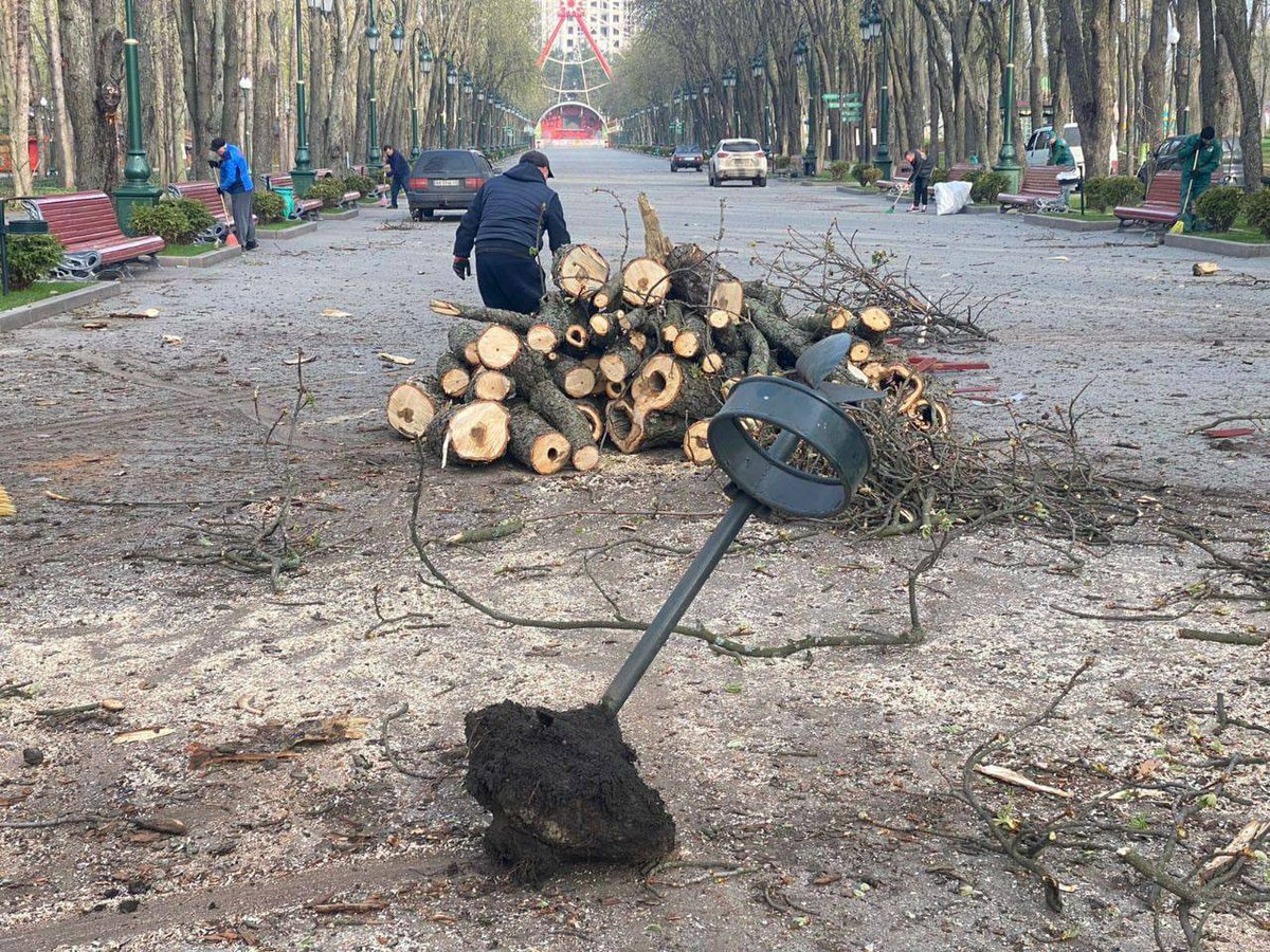 харьков парк горького сегодня