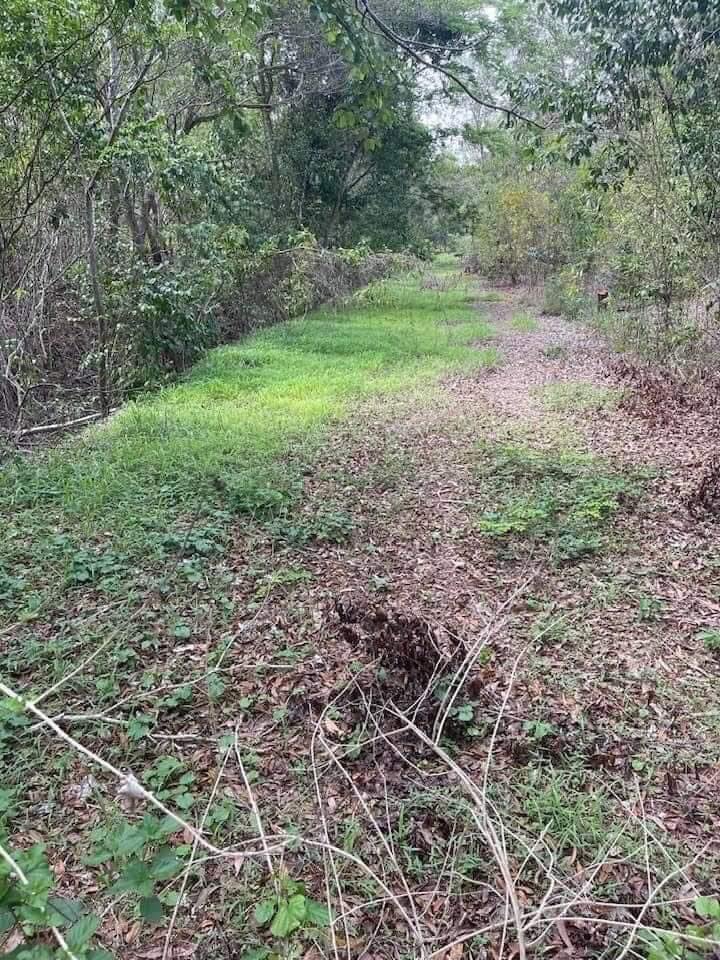 b_mamery's tweet image. [Côte d&apos;Ivoire 🇨🇮] Sur les ruines de la résidence inachevée de Henri Konan Bédié à Pepressou son village.#LesDocs