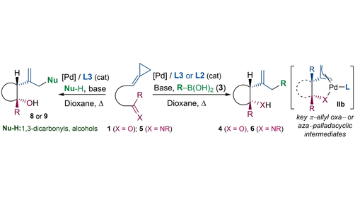Palladium-Catalyzed Tandem Cycloisomerization/#CrossCoupling of Carbonyl- and Imine-Tethered Alkylidenecyclopropanes (Lopez) @ciqususc @metbiocat @qojoselm @chem_FLopez #openaccess onlinelibrary.wiley.com/doi/10.1002/an…