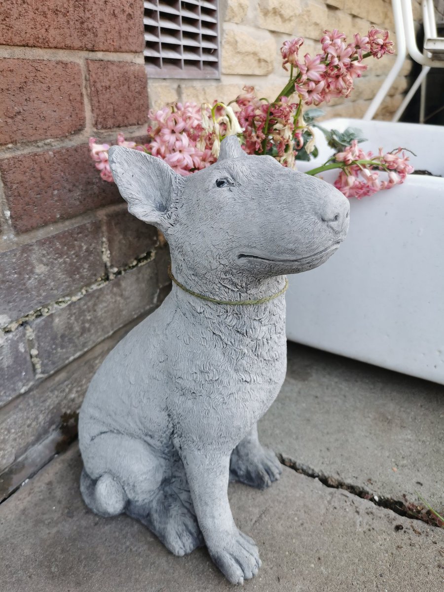 PaulMos02436367's tweet image. Wife's Easter present ♥