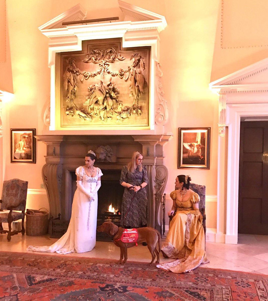 LFOpera's tweet photo. Returned to the splendid #kirtlingtonpark for a charity gala for #medicaldetectiondogs - a touch of #Bridgerton costumes for visual impact! https://t.co/Bc1LUWOTjv