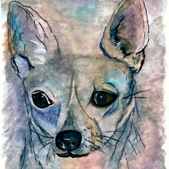 MogRagga's tweet photo. #CCabc P for Purpose
The purpose of Morri-Arty is to:
*Bring art to make you smile.
*Support #AnimalWelfare
*Raise awareness of #endangeredspecies .
*End #BackyardBreeding
Visit us at https://t.co/OMu6I6xtWv. You're always welcome.💜
#MHHSBD #DogsofTwittter #Saturday https://t.co/8sgiq7VZhG