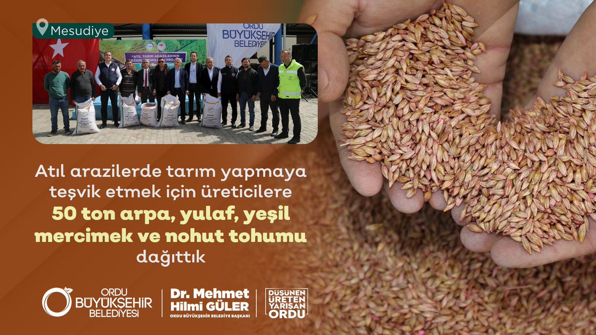 Mehmet Hilmi Güler