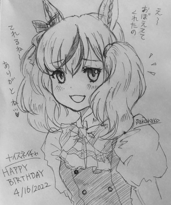 #ナイスネイチャ生誕祭2022 
ボールペン画にて
お誕生日おめでとう🎁
長生きしてね!🐎 