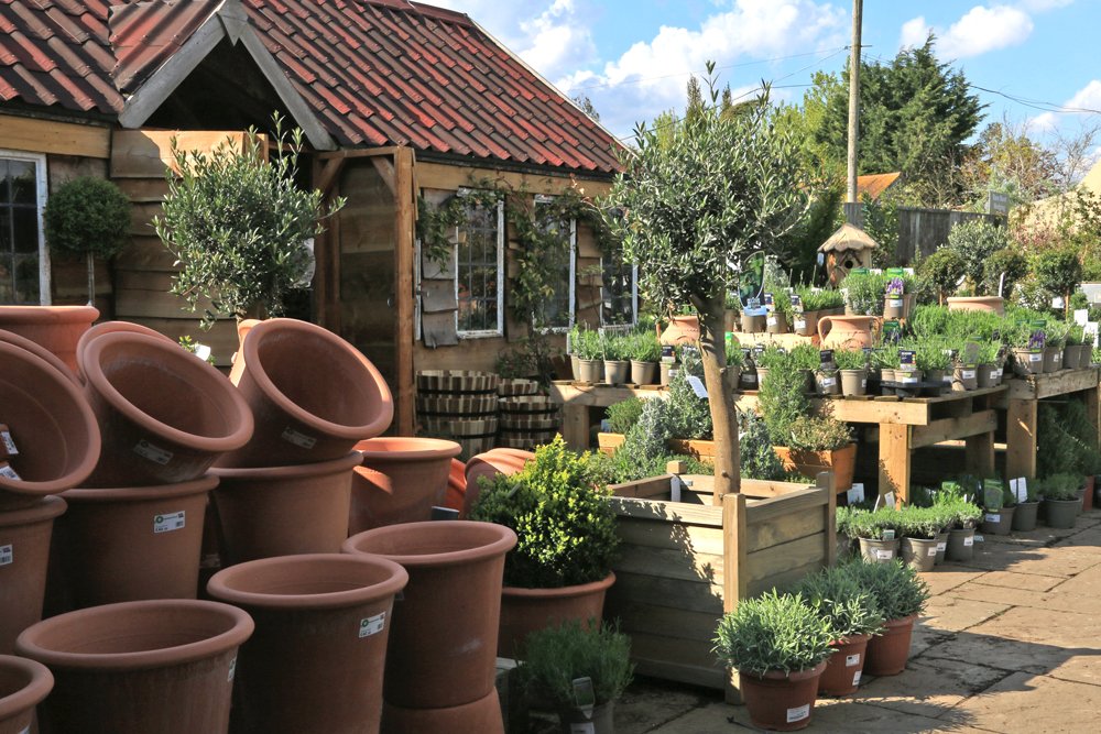 PottyPreston's tweet photo. So many different species of #lavender. Don't get confused. #Angustifolia varieties are ideal for lining paths, #xintermedia are excellent for cutting as they have longer stems and #stoechis are the French or Portuguese types with the pretty bunny ear flowers.
#lavendula https://t.co/qBar17KwMG