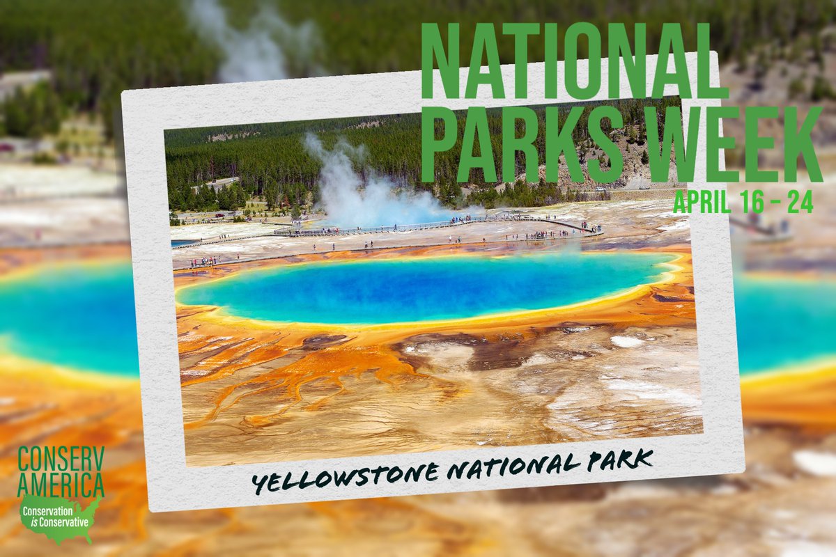 ConservAmerica's tweet photo. It's finally here! Yellowstone National Park is open just in time for free admission during National Parks Week, April 16-24. #ConservationIsConservative #Parks https://t.co/JCFUebJcu2