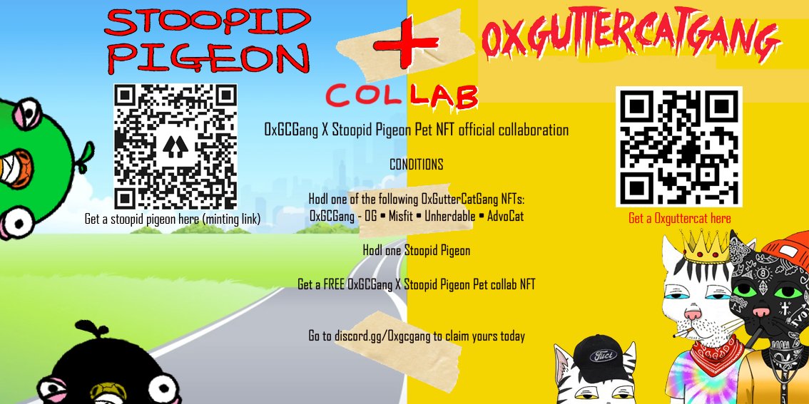 StoopidPigeon's tweet photo. Pigeon happy to announce official collab with @0xGutterCatGang 

If you own one of the @0xGutterCatGang family and  a @StoopidPigeon , a special pfp with your 0xgutterCatGang and pet Stoopid pigeon that you own will be airdropped to your wallet 
LFG!!! https://t.co/D1YG0ITjqg