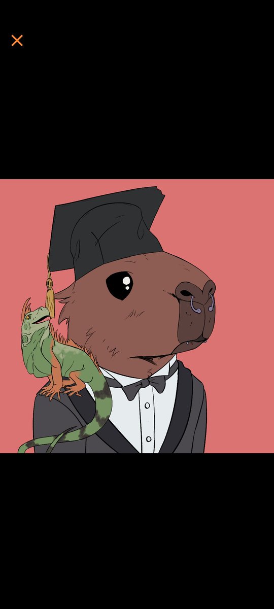 ADogNamedSwamp's tweet photo. @0x_fxnction @CapysWAttitude art is killer https://t.co/1nfa8rehuU