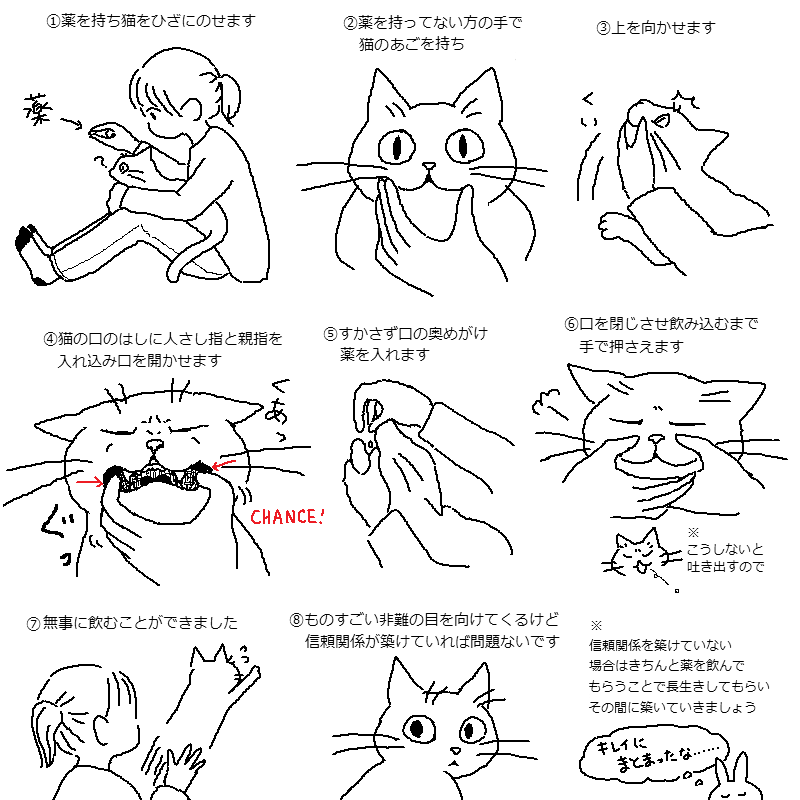 こうやって猫に薬飲ませてます 