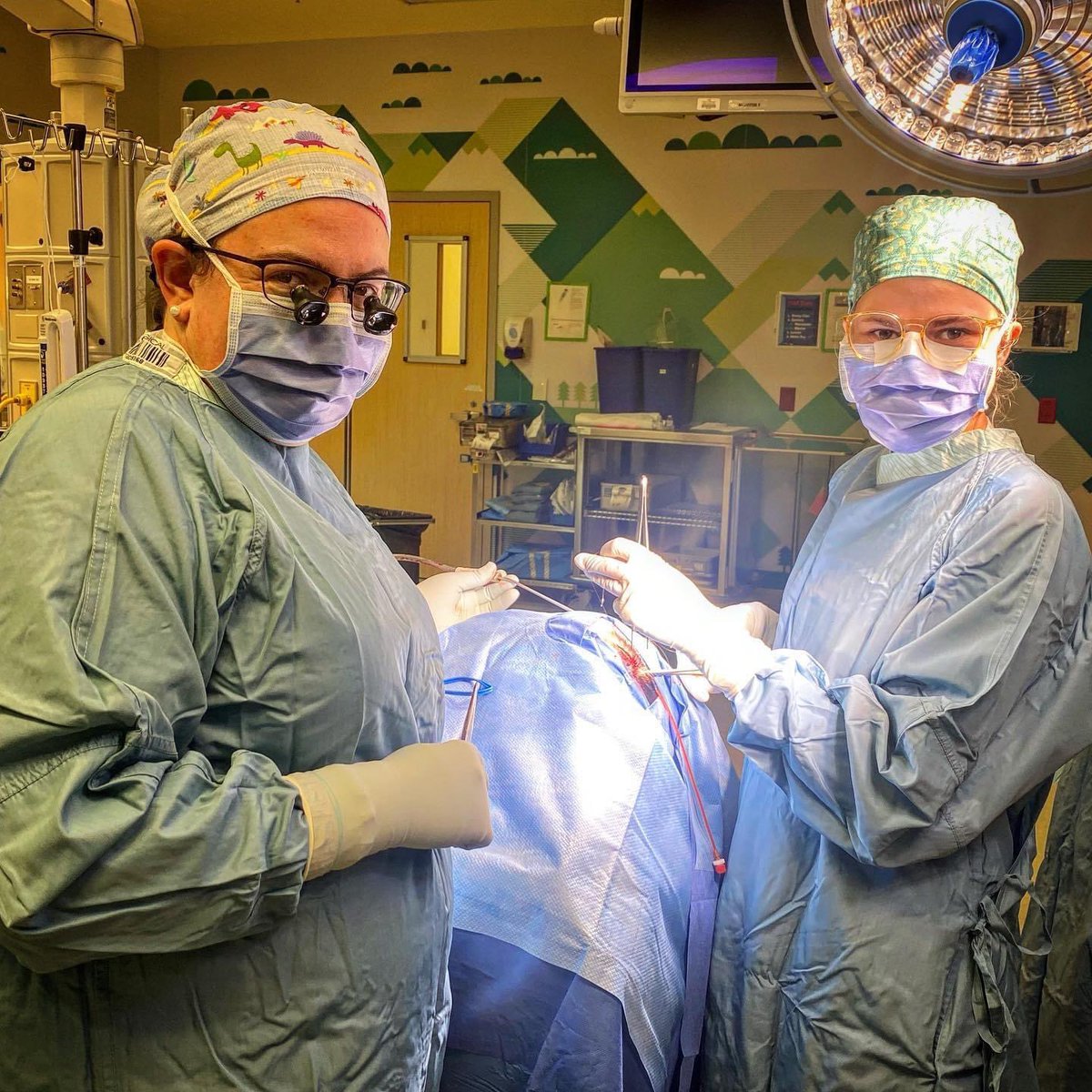 When your next level brilliant medical student gets accepted to #neurosurgery training. Celine Hounjet will be Canada’s first Indigenous woman neurosurgeon. Welcome to neurosurgery, Celine, we’ve been waiting for you. #ScalpelSisters #ILookLikeASurgeon