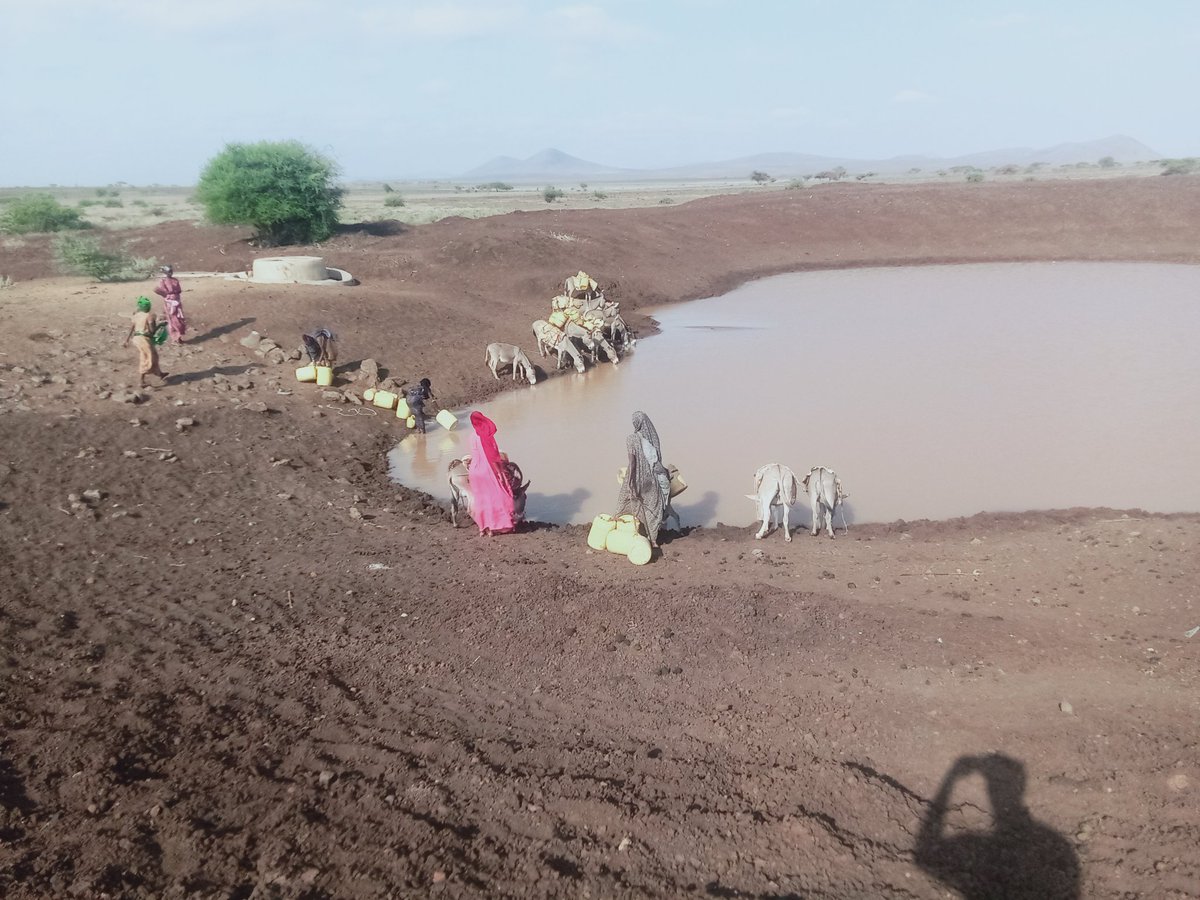 IREMOMarsabit's tweet photo. DRR intervention: a water pan at Forole location in Maikona Ward that was desilted by @IREMOMarsabit with the support from @diakoniekh  is half full after a light shower. 
Women are the first beneficiaries.
@diakoniekh @oxfaminKE @GuyoRadez @RACIDAofficial https://t.co/VBm4Gv0FaK