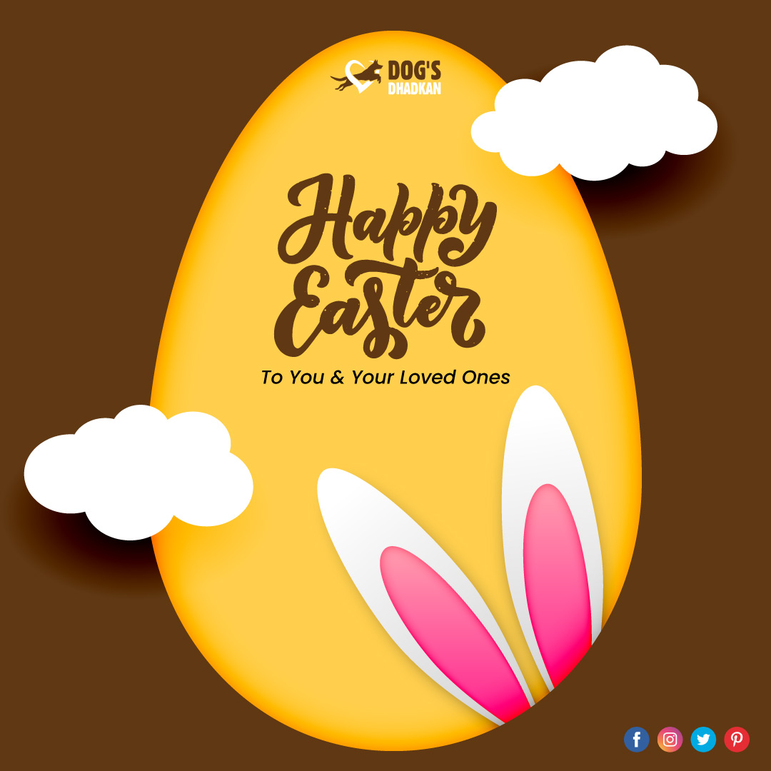 DogsDhadkan's tweet photo. May Easter resurrection joy lift your heart and fill your soul with renewed hope. Here’s Dogs Dhadkan wishing you Happy Easter Sunday.

#HappyEasterDay #happyeaster2022 #happyeaster🐣 https://t.co/R1LB1Ghm7B