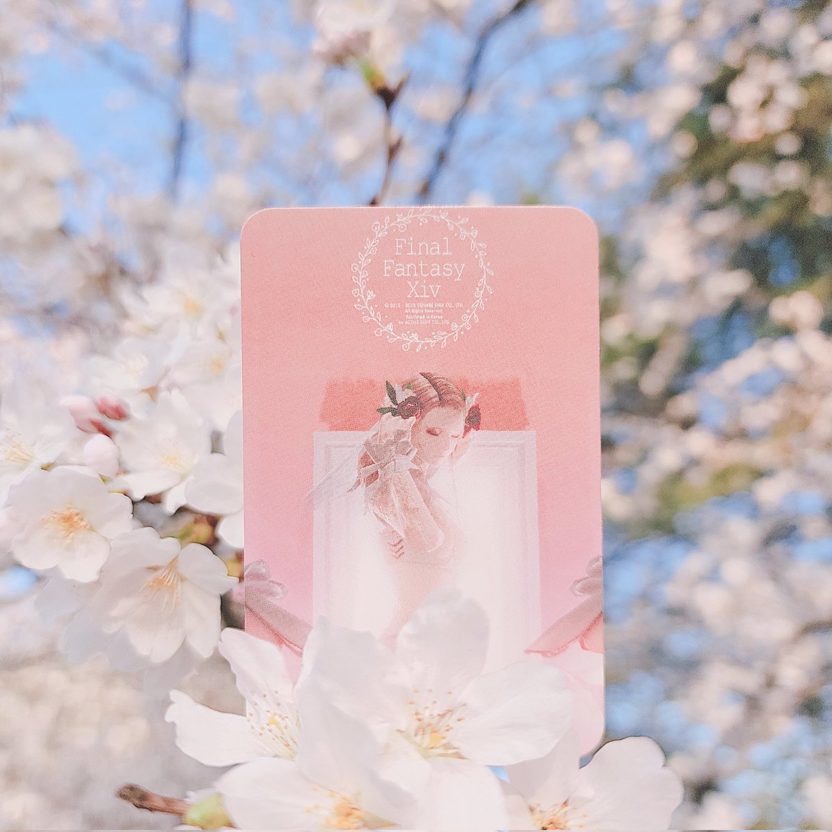 Blueming2020's tweet photo. 안녕하세요 땅콩뿔 여우라 오타쿠입니다 
❤🦀🌸 https://t.co/4A4UdcWsYT