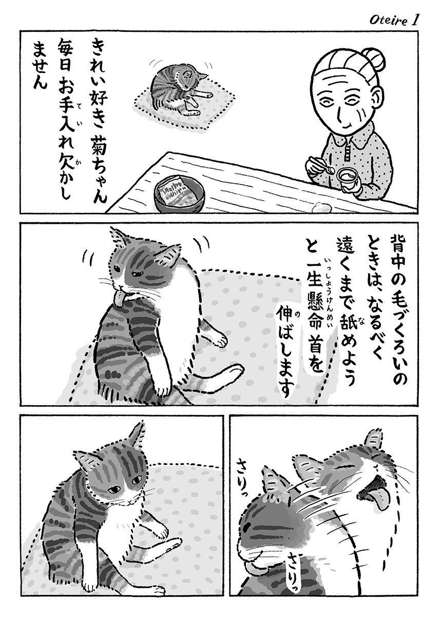 2ページ猫漫画「毎日お手入れ」 