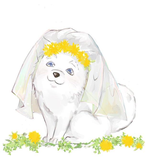 ハロちゃんのハロ嫁コスです…🐶 