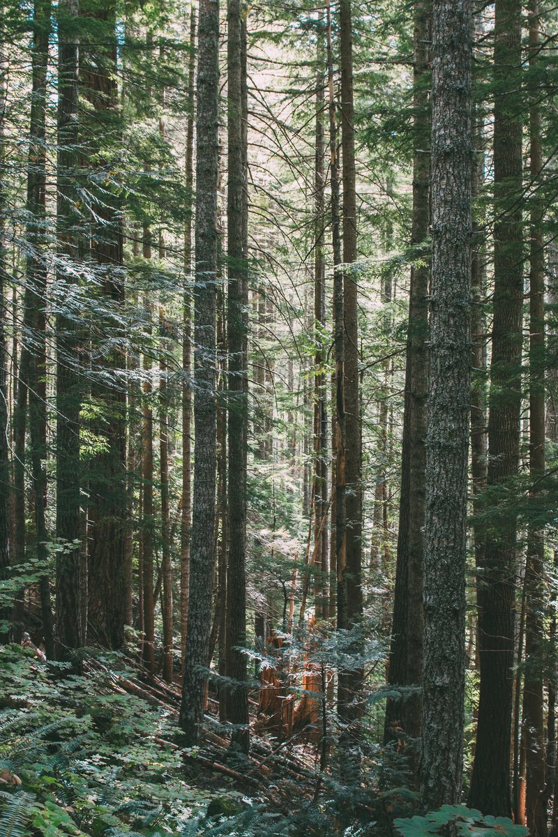 archillect's tweet image. 