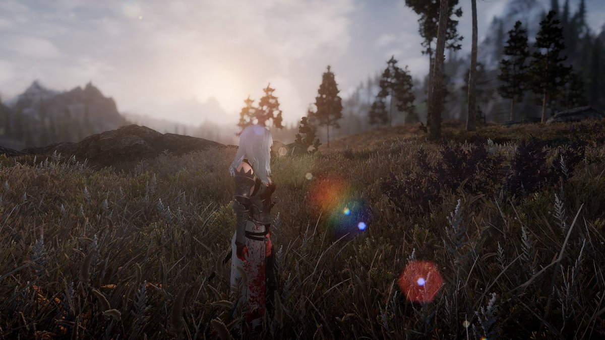 #Skyrim #SkyrimSE #スカイリム