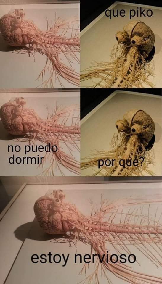 Ben_Cannabis's tweet photo. Jajajaaja https://t.co/YEXwNbYOgH